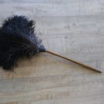 feather duster